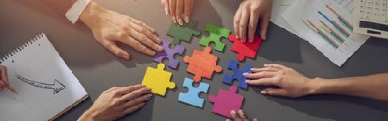 Corporate & Institutional Partnerships