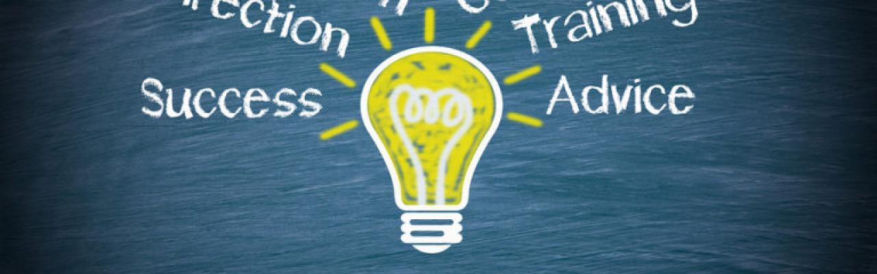 Mentorship & Leadership Development